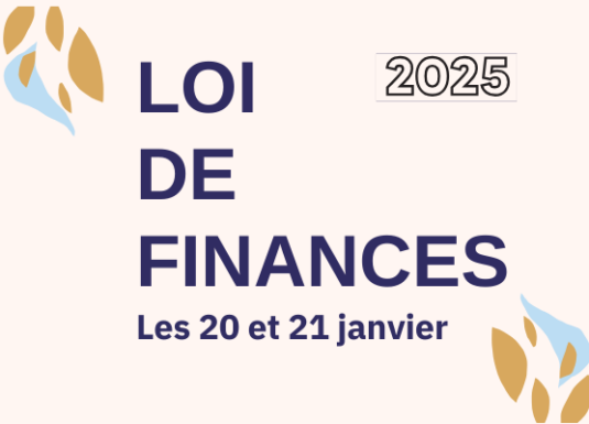 LOI DE FINANCES 2025