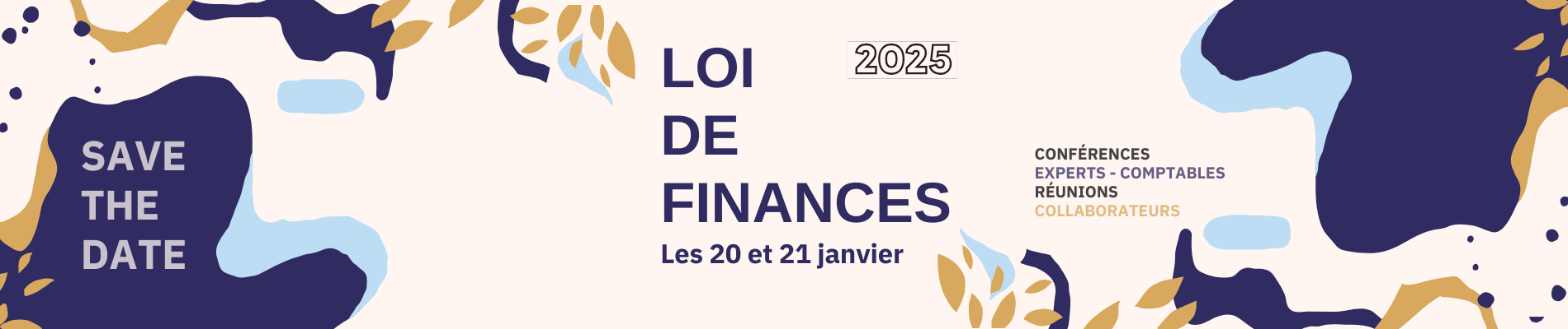 LOI DE FINANCES 2025